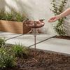 Standing Bowl Iron Bird Bath Feeder 5 Claw Ground Plug Bird Water Drinker  Lawn Backyard