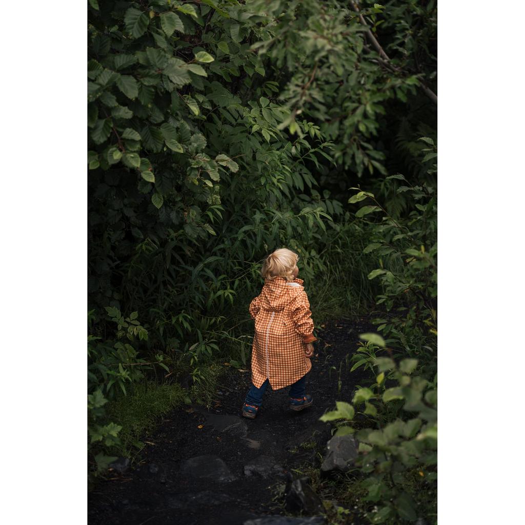 Sigma SIGMA Sony E Mount Lens DG DN Zoom Standard Full Size Art Mirrorless Only 28-105mm F2.8