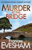 The Murder At the Bridge Book