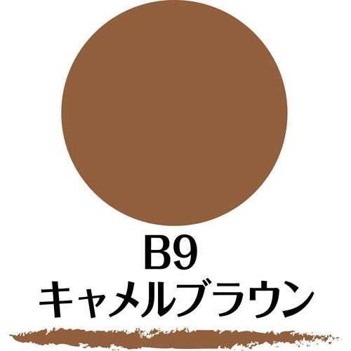SANA New Born W Brow EX B9 Powder & Pencil & Brush 3-function Eyebrow Camel Brown 1 шт. (х 1) Бровь