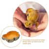 Resin Reptile Feeder Climbable Amphibian Feeding Bowl Tortoise Water Dish  Tortoise