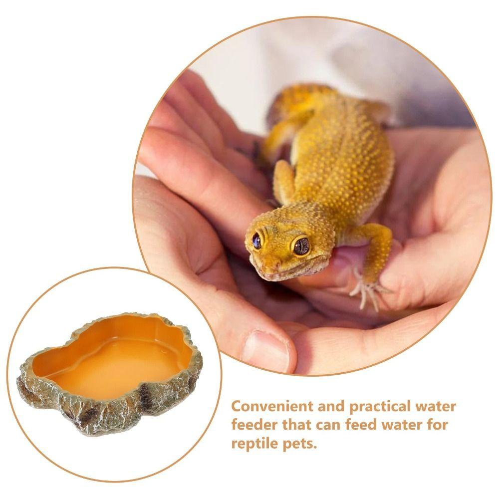 Resin Reptile Feeder Climbable Amphibian Feeding Bowl Tortoise Water Dish Tortoise