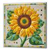 Special Shaped 5D DIY Partial Drill Diamond Painting Kits for Adults Beginners Home Decor Crystal Diamond Art With Frame 25x25cm