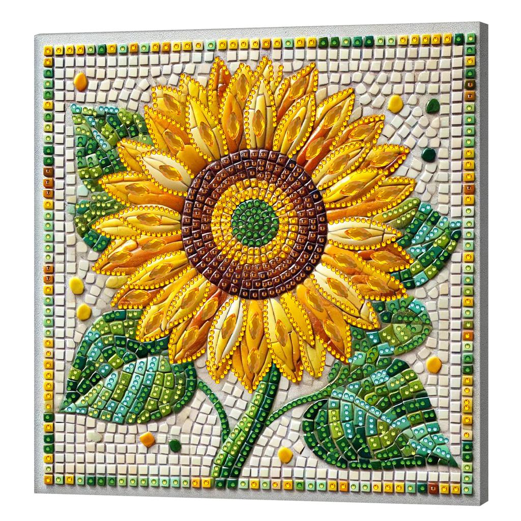 Special Shaped 5D DIY Partial Drill Diamond Painting Kits for Adults Beginners Home Decor Crystal Diamond Art With Frame 25x25cm