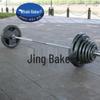 Painted Cast Iron Barbell Weight Plate