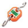 C100 Portable  Scale Fishing  Balance Electronic 150kg   Weighing
