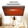 Theodoor AFS Far Infrared Wall-Mounted Radiant Heater