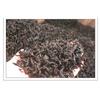 2023 Wuyi Mount Olong Tea Cinnamin Dahongpao Spring Flavour Olong Tea 125g