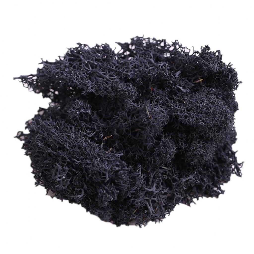 L&B Artificial Plant Preserved Flower Reindeer Moss DIY Craft Garden Home Decor