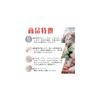 SANYU Disposable Plastic Gloves, PVC Gloves, Powder-Free, for Work, Caregiving, Cleaning, 100, 300,