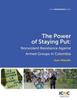 Книга The Power of Staying Put : Nonviolent Resistance Against Armed Groups In Colombia : 2