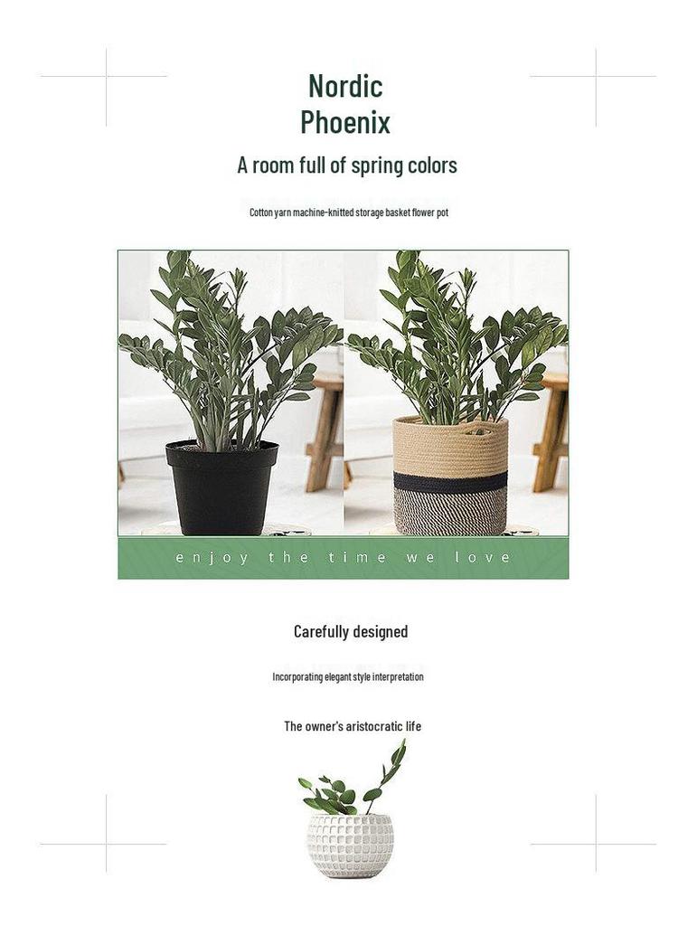 Large Cotton Rope Basket for Plants, Flowers, Laundry, and Storage