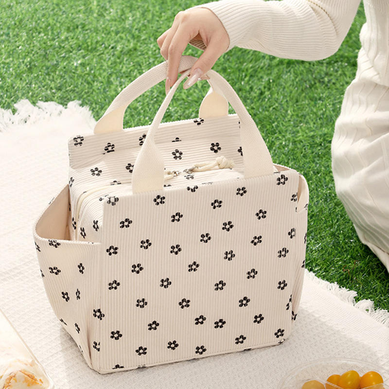 Lightweight Large Capacity Lunch Box Bag Cute Portable Bento Insulation Tote Bag for Commuting Office