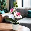 Artificial Artificial Orchid Bonsai Artificial Flower Bonsai  for Home Wedding Decor