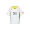 Nike Мужская футбольная майка Dri Fit IB4219-100