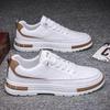 Men's Trendy Spring White Sports Shoes: Breathable, All-Match, Thick-Soled, Casual Flats