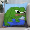 Sad P-Pepe Frog Pillow Gift Pillow Case Short Plush Sofa Decorative Gift Home Double-sided Printing Cushion