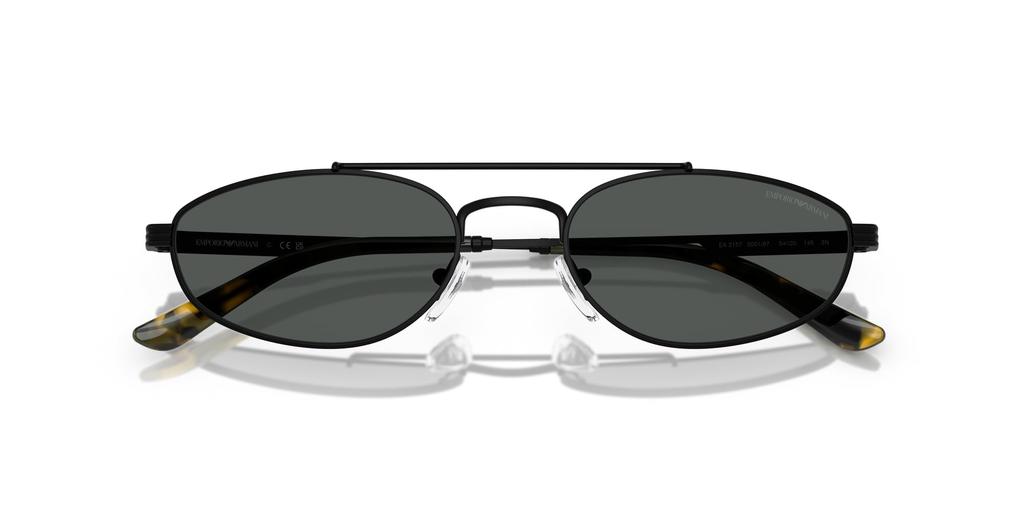 Sunglasses 0EA2157 MATTE BLACK 54 [Emporio Armani]