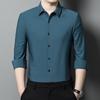 Spring and Autumn New Style Middle-aged Striped No-iron Shirt Men's Long-sleeved Thin Ice Silk Nylon Seamless Shirt Men's Clothing