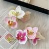 Ponytail Holder Shark Clip Butterfly Orchid Headwear New Barrette  Women