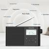 Philips Portable Bluetooth Full-Band Radio Speaker CN plug (adapter included)