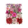 25PCS Dried Flowers Set for DIY Resin Pendant Making Filling Pressed Real Natural Flowers Leaves for Bookmark Phose Case Making