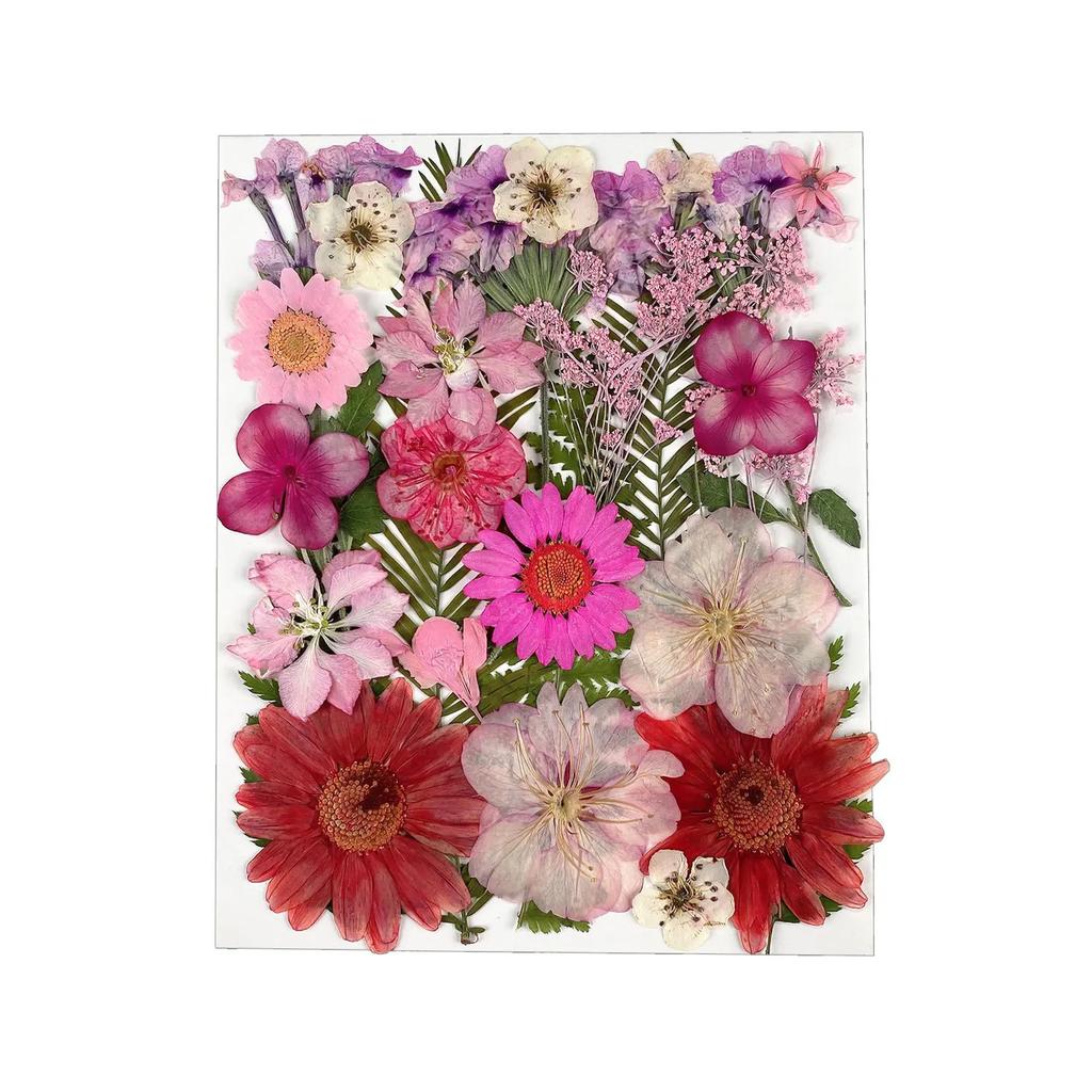 25PCS Dried Flowers Set for DIY Resin Pendant Making Filling Pressed Real Natural Flowers Leaves for Bookmark Phose Case Making
