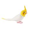 Plastic Bird Sculpture Educational Parrot Ornament Simulation Parrot Figurine  Home Garden