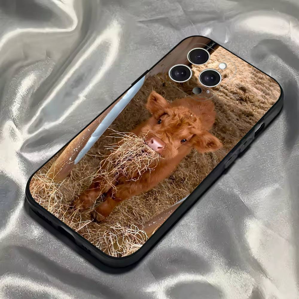 Cute Highland Cow Phone Case For iPhone 16,15,14,13,12,11,Pro,Max,Plus,X,XS,SE4,E,Mini,Soft Black Case