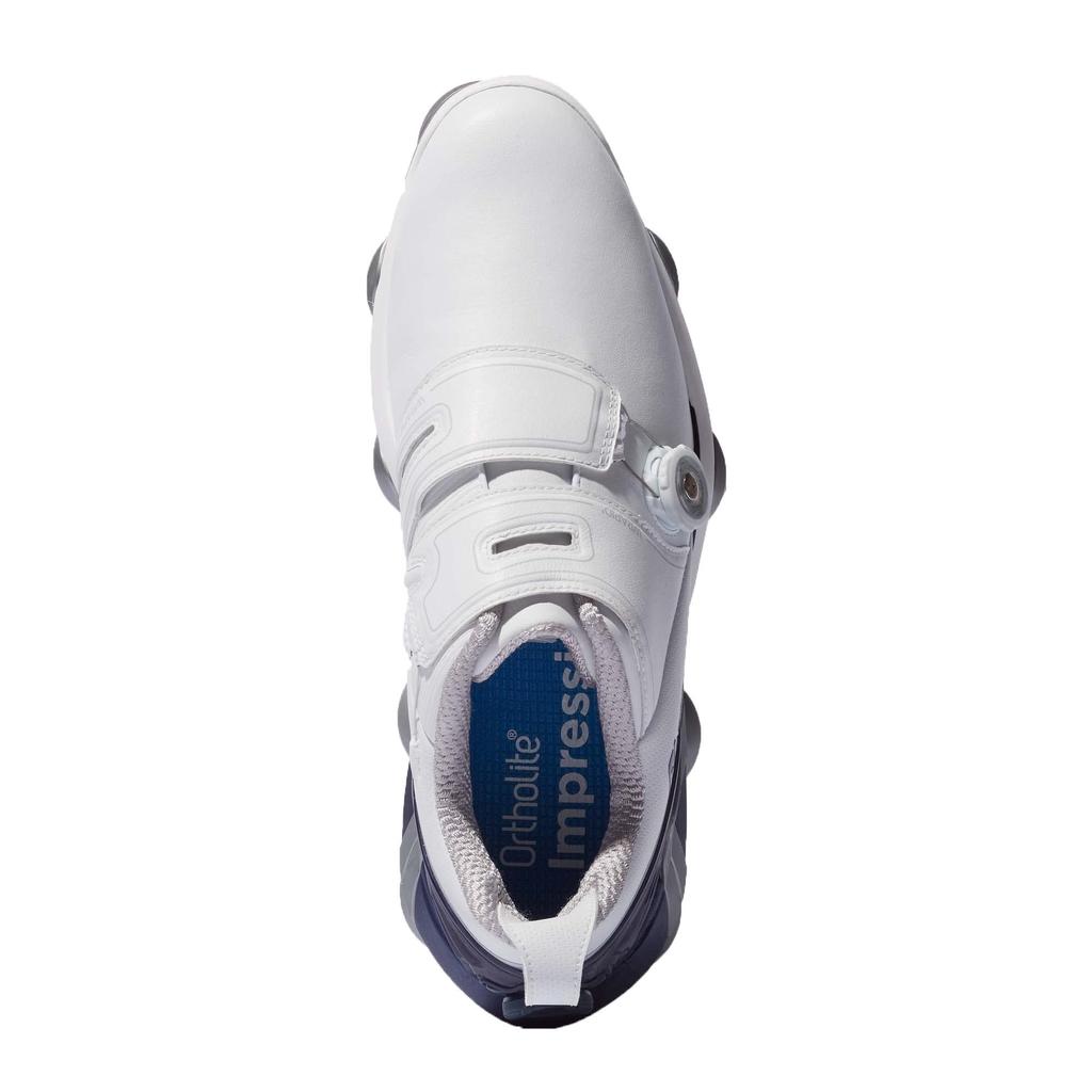 Golf Shoes Tour Alpha Dual BOA Cm [Footjoy] White/Navy 25.5