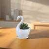 Creative White Swan Flower Pot Personalized Animal Vase Hydroponic Flower Holder  Birthday