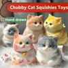 Реалистичная игрушка для кошек, сжимающая медленно восстанавливающийся мягкий TPR, снимает стресс, беспокойство, портативная для детей, подростков, взрослых, котят, животных, сжимающих сенсорную игрушку-фиджет