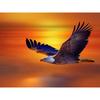 5D Diamond Painting Bird Animal DIY Diamond Embroidery Landscape Flower Full Round Cross Stitch