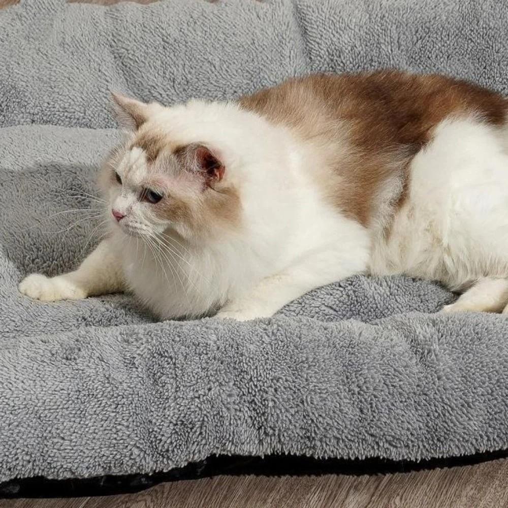 Non-slip Pet Plush Pad Warm Cat Cage Mattress Dog Sofa Bed Dog Bed Mat Home