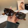 Cat Eye Oval Sunglasses Personalized Fashion Female Shades Popular Glasses Street Photos Accessories Driving Glasses