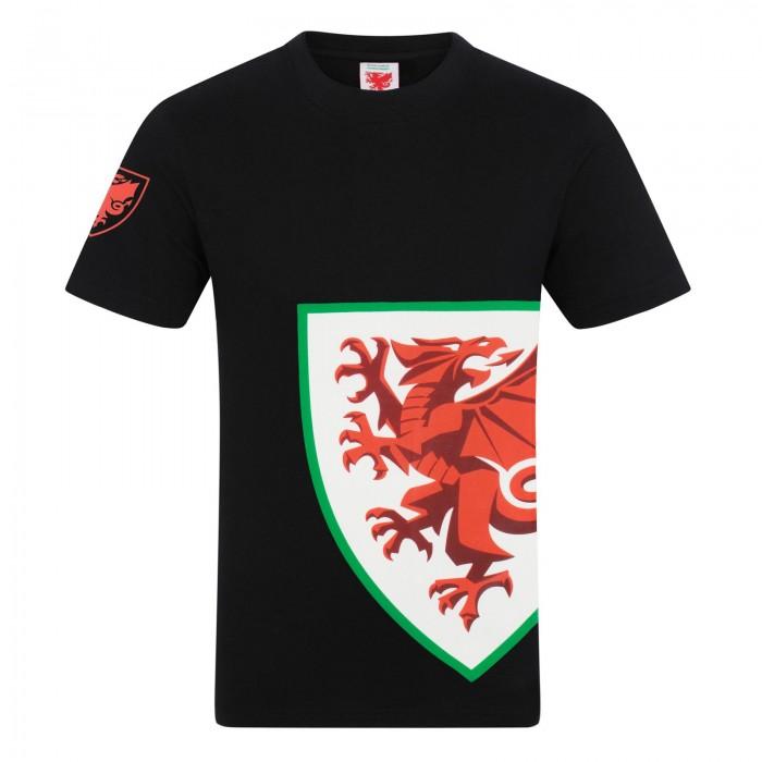 Wales Cymru Boys Graphic T-Shirt
