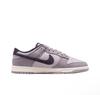 Nike Dunk Low Retro Se 'Light Violet Ore'Dark Raisin Мужские HQ3642-202