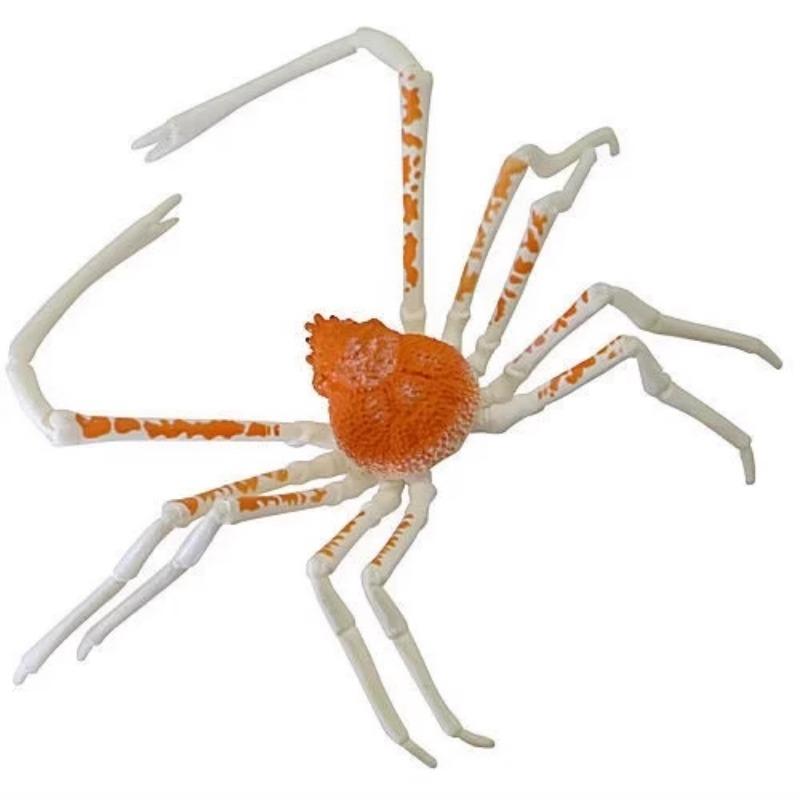 Japanese Ocean Monsters Gashapon Toys Macrocheira Kaempferi Wolf Fish Joints Movable Simulation Figure Model Ornaments Toys