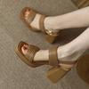Fashion Sandals Women Fashion Buckle Strap 2025 Comfortable Summer High Heeled Roman Sandal Woman Open Toe Square Heel Thick Heel Shoes
