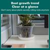 Прозрачный пластиковый цветочный горшок, управляемый корнями, посадочный горшок с устьичными отверстиями, ящик для выращивания орхидей, товары для дома и сада
