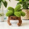 Positive Vibes Plant Doll: Knitted Potted Bouquet and Desk Ornament