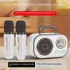 Портативная Bluetooth-колонка для караоке с двумя микрофонами для использования в помещении и на улице