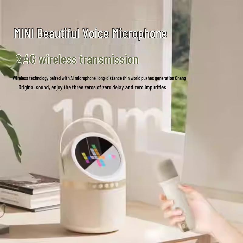 Bluetooth-караоке-колонка Philips TAS2508 с микрофоном, штекер CN (адаптер в комплекте)