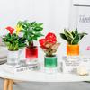 1Pc Self-Watering Flowerpot Automatic Water Absorption Transparent Plastic Pot