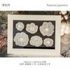 30 Sheets White Tracing Paper Flower Stickers Transparent Botanical Patterns For Journal Scrapbook DIY Deco