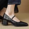 Модные Ретро Уютные Толстые Каблуки Весна Осень Туфли-лодочки с Пряжкой Женские Туфли 2024 Французские Простые Туфли на Каблуке 5 см Корейский Стиль Туфли-лодочки из Овчины