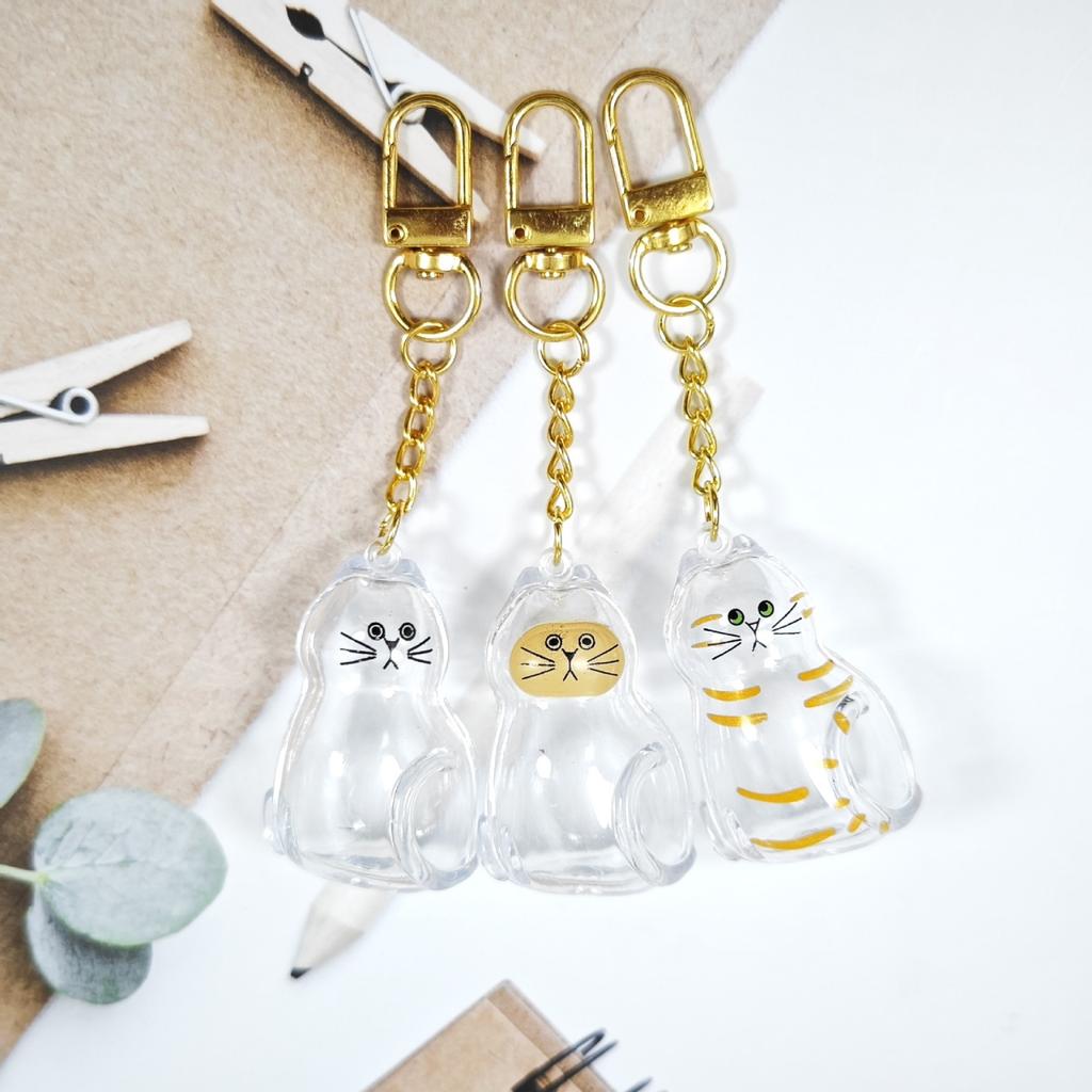 Acrylic Cats Hair Keepsakes Box 3D Design Clear Pet Memorial Display Case Keychain Pendant For Home Backpacks Decors