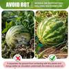 20 шт. опора для тыквы, держатель для клубники, защищает арбузы от гниения земли, выдерживает до 8 фунтов