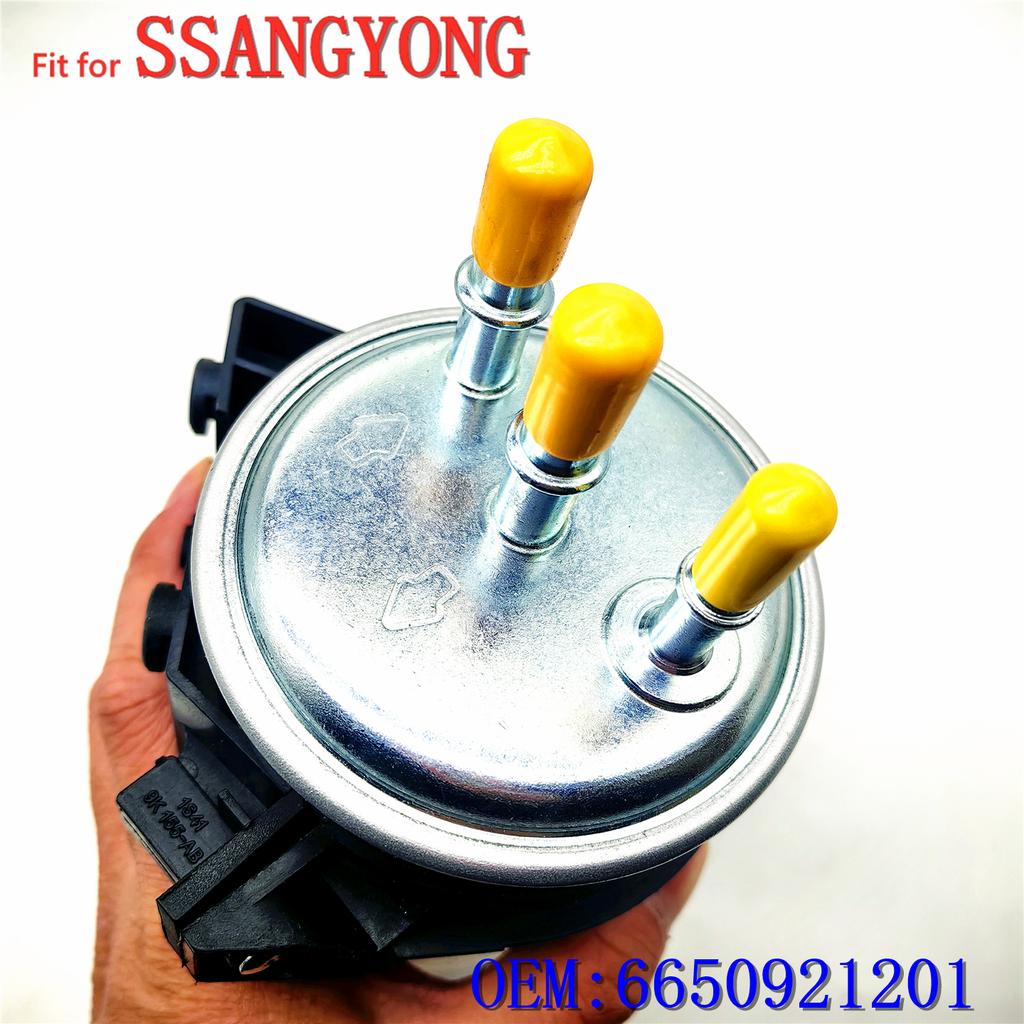 Diesel filter fit for Ssangyong KYRON REXTON RODIUS/STAVIC ACTYON SPORTS Diesel filter 6650921201