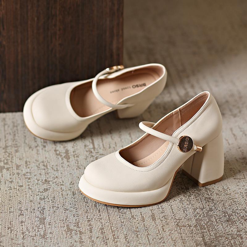 Нежный вечерний бриз Туфли Мэри Джейн на высоком каблуке женские универсальные юбки на толстом каблуке осень 2025 новые маленькие кожаные туфли одинарные туфли